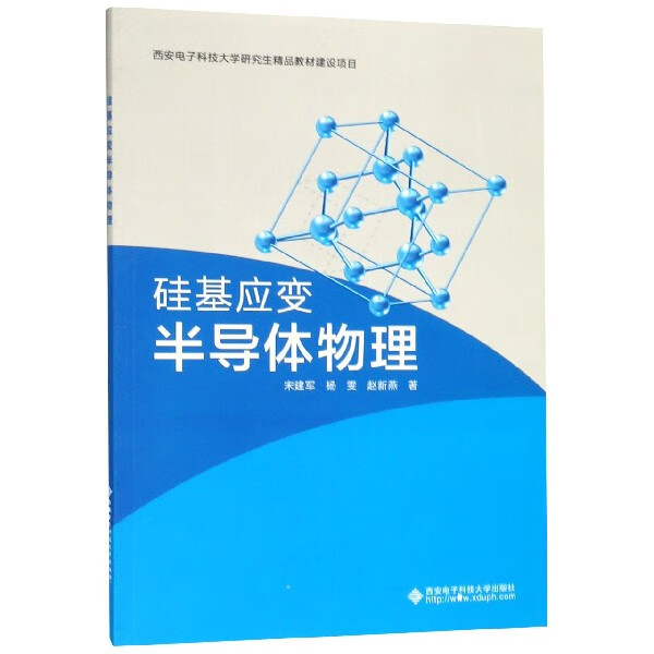 硅基应变半导体物理