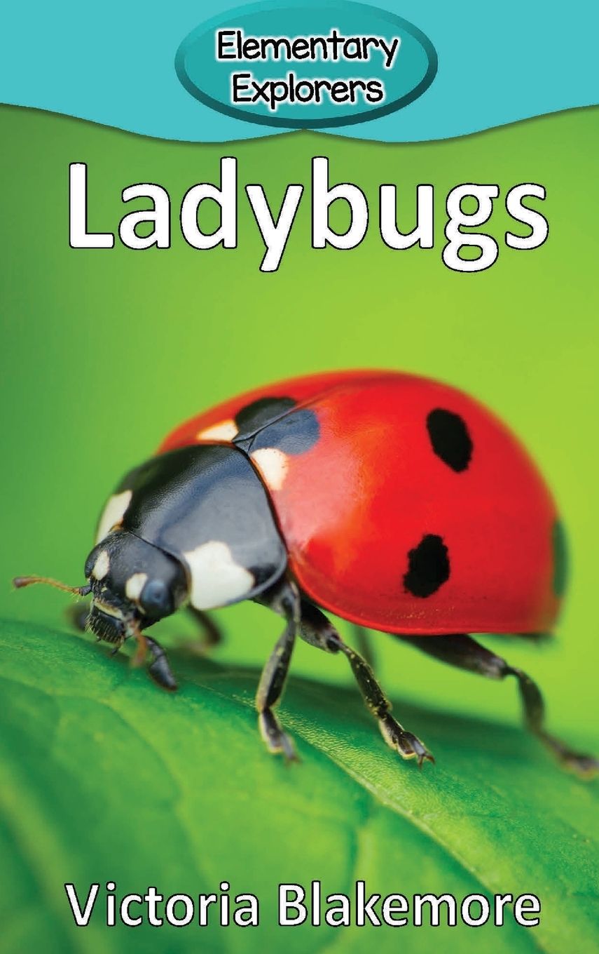 预售 按需印刷 ladybugs