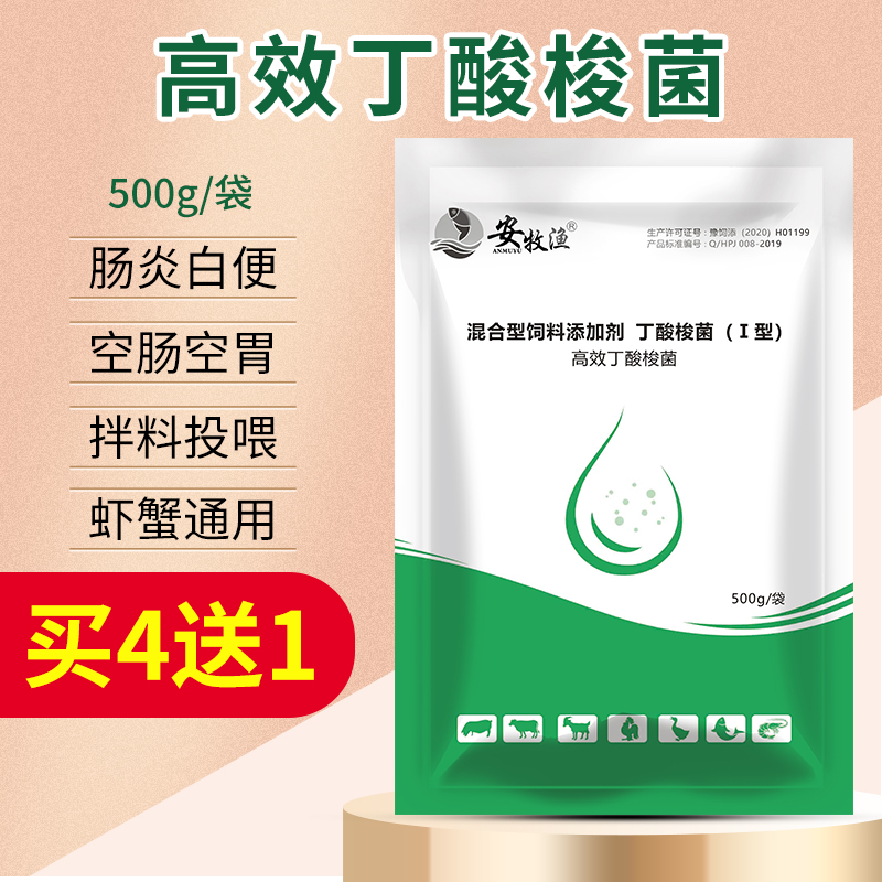 安牧渔水产养殖丁酸梭菌龙虾蟹鱼塘调节肠道拖白便空肠胃肠道益生菌种