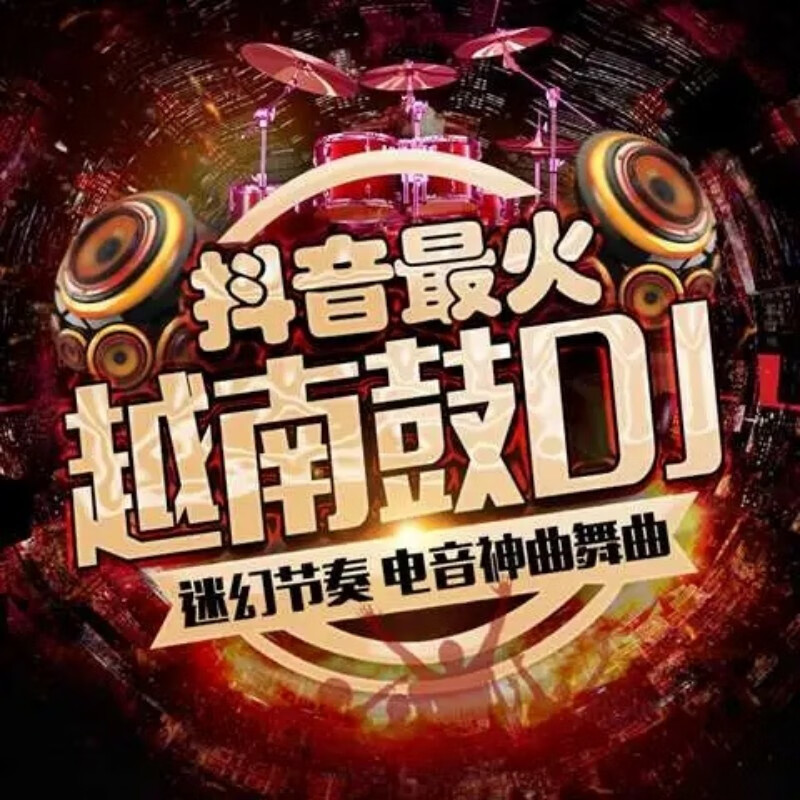 纽曼(newsmy)抖音劲爆越南鼓dj音乐u盘重低音edm硬曲炸街dj舞曲串烧咚