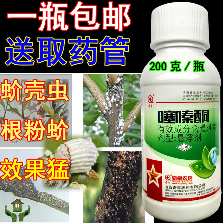 蚧壳虫蚧必治根粉蚧兰花卉柑橘果树柿子月季多肉杀虫剂农药 200g