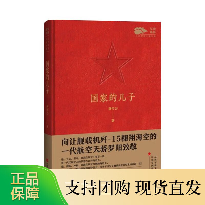 国家的儿子 军旗飘扬红色军旅文学作品 军旅文学作品中国当代小说纪实