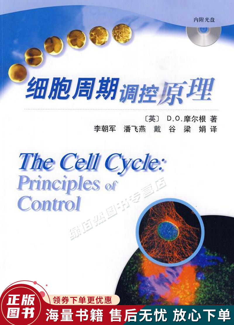 细胞周期调控原理