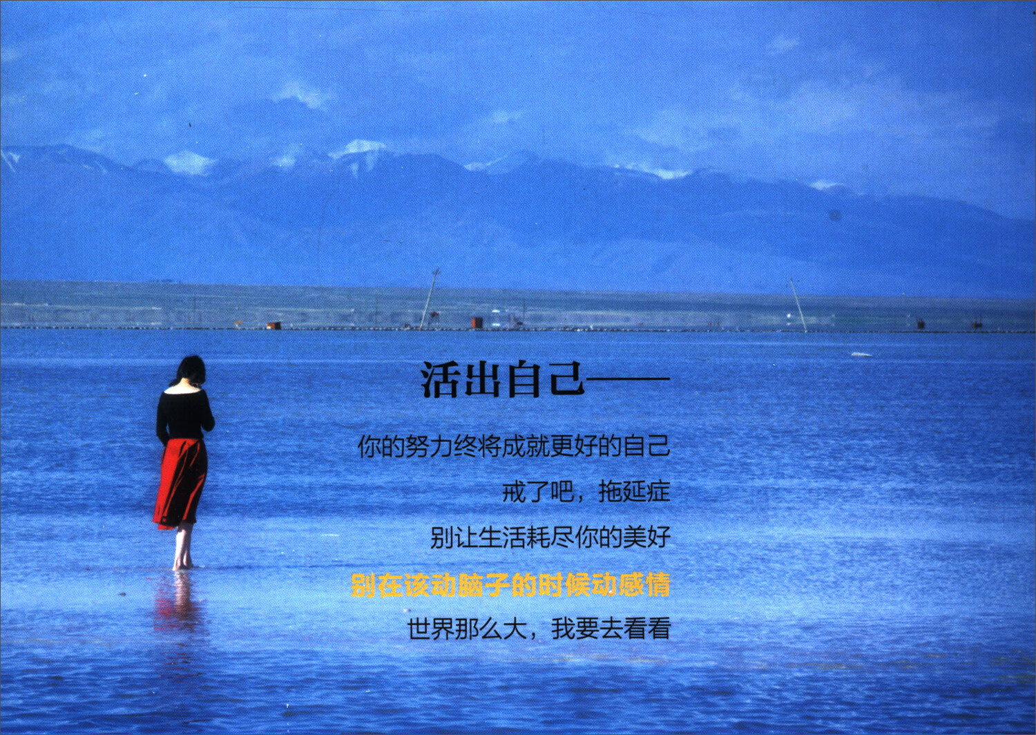 别在该动脑子的时候动感情详情图