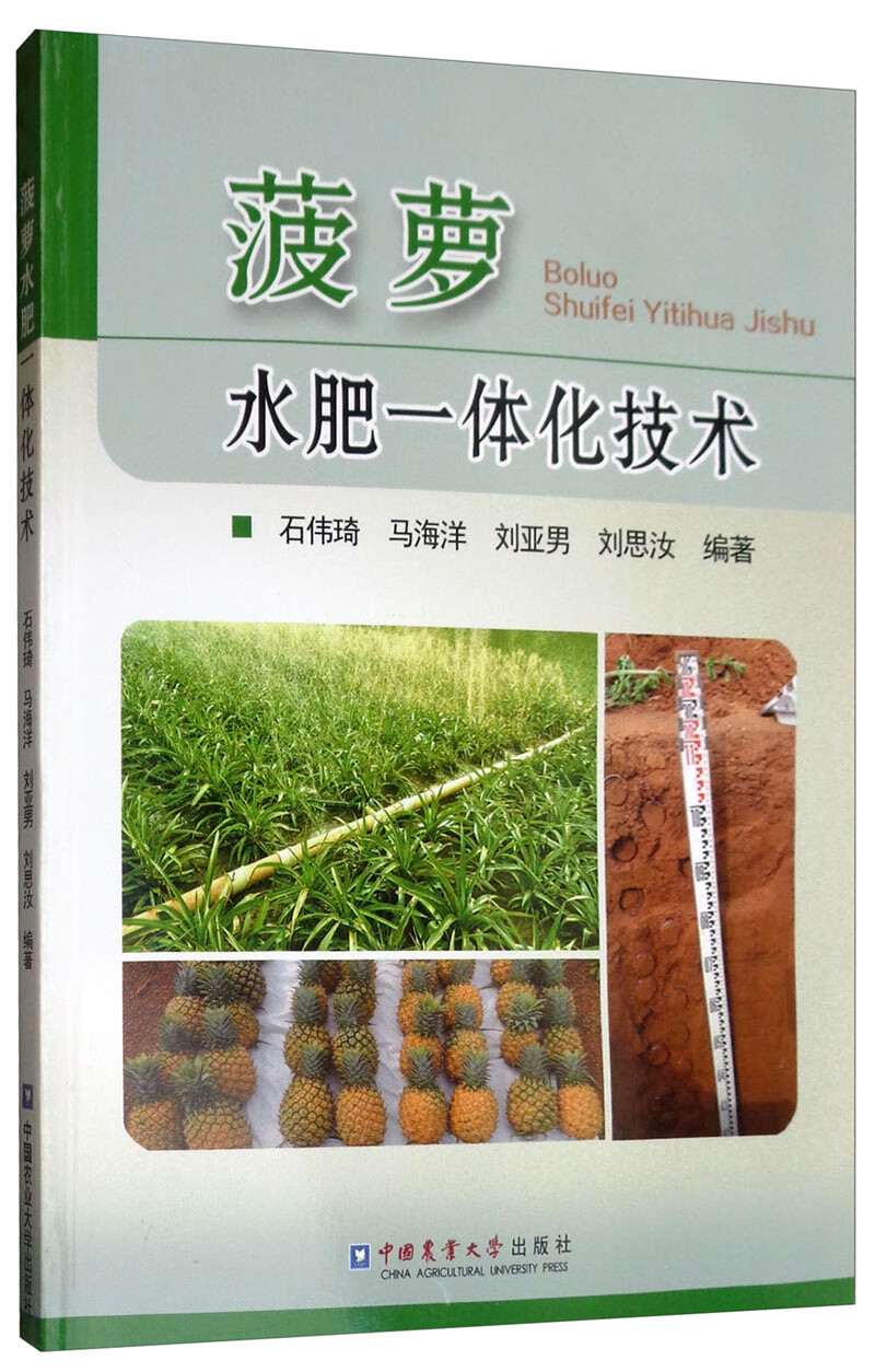 菠萝水肥一体化技术