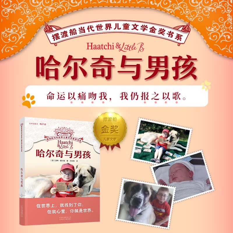哈尔奇与男孩 世界国际大奖小说书系 7-9-10-12岁中小学生三四五六年级课外读物阅读书 儿童文学梅子涵书 新华正版