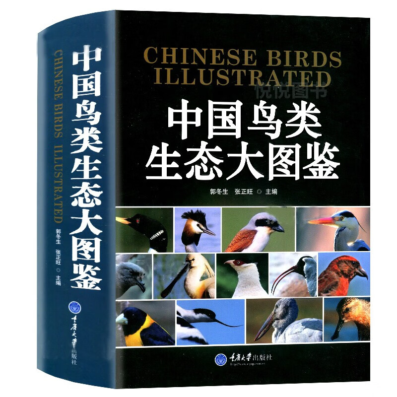 中国鸟类生态大图鉴 鸟类学图鉴 鸟类物种鸟类生态图