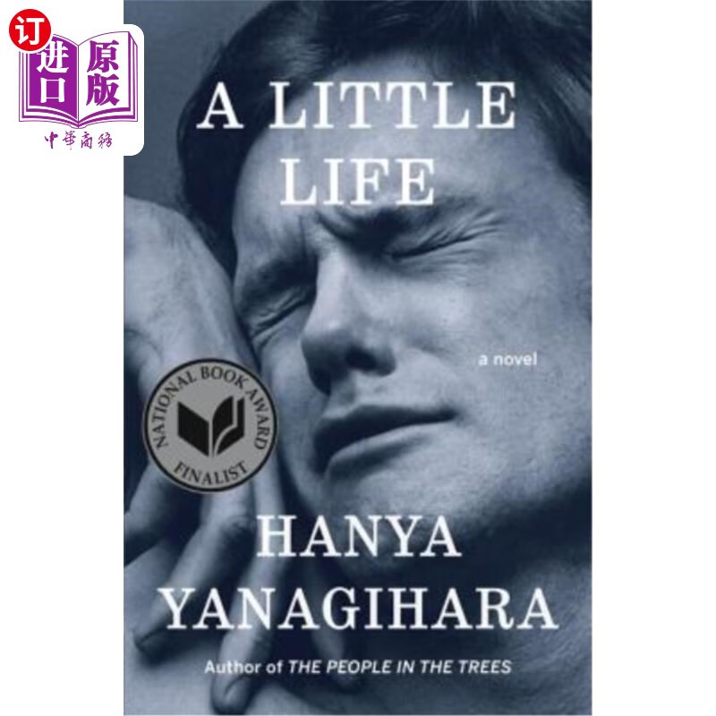 海外直订a little life 小生活