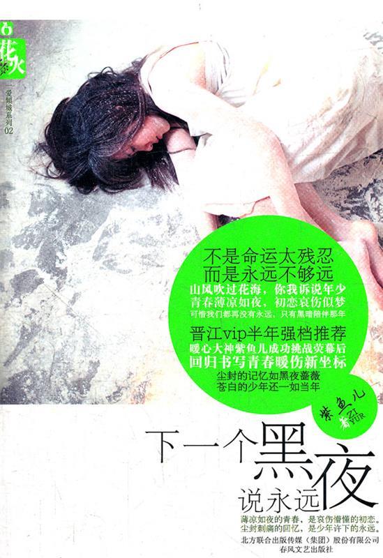 下一个黑夜说永远 紫鱼儿【正版书】