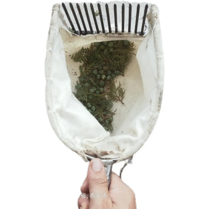 摘酸枣快速神器摘酸枣工具摘柏树籽工具摘酸枣神器摘柏树籽神器山 摘