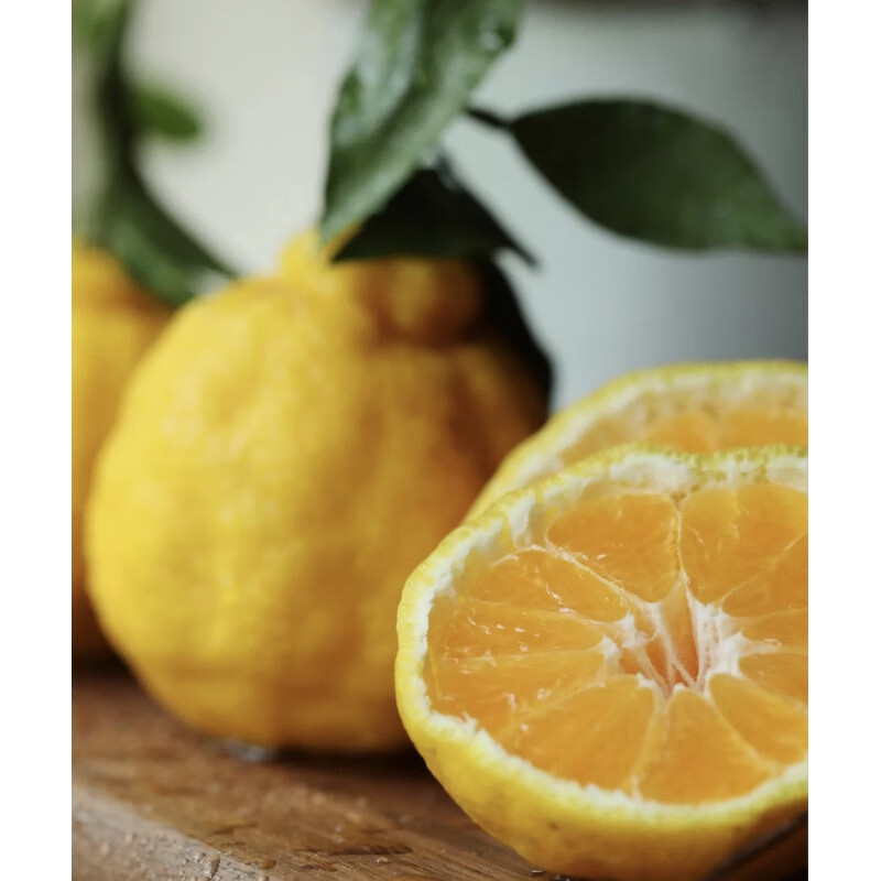 菓灵稥四川丹棱柠檬不知火脆甜嫩滑新鲜水果丑橘尝念时光多汁爽口 中