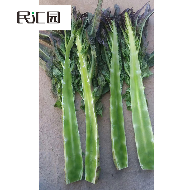 民汇园秋冬莴笋种子 挂丝红莴笋 皮红肉绿质脆 莴笋味浓茎杆粗壮高大