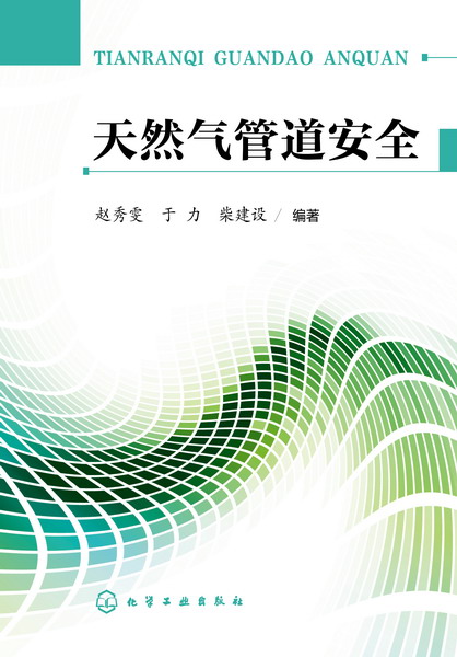 天然气管道安全 赵秀雯、于力、柴建设 编著