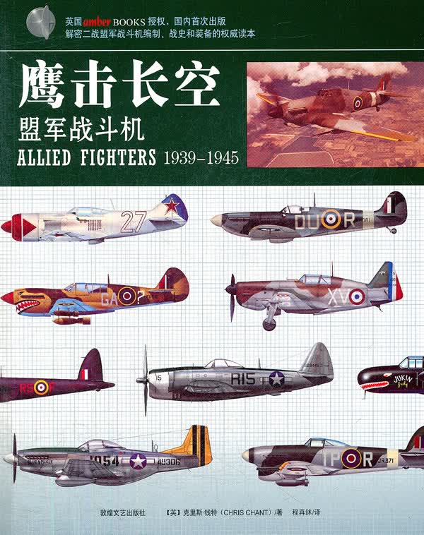 鹰击长空:盟军战斗机【正版图书】