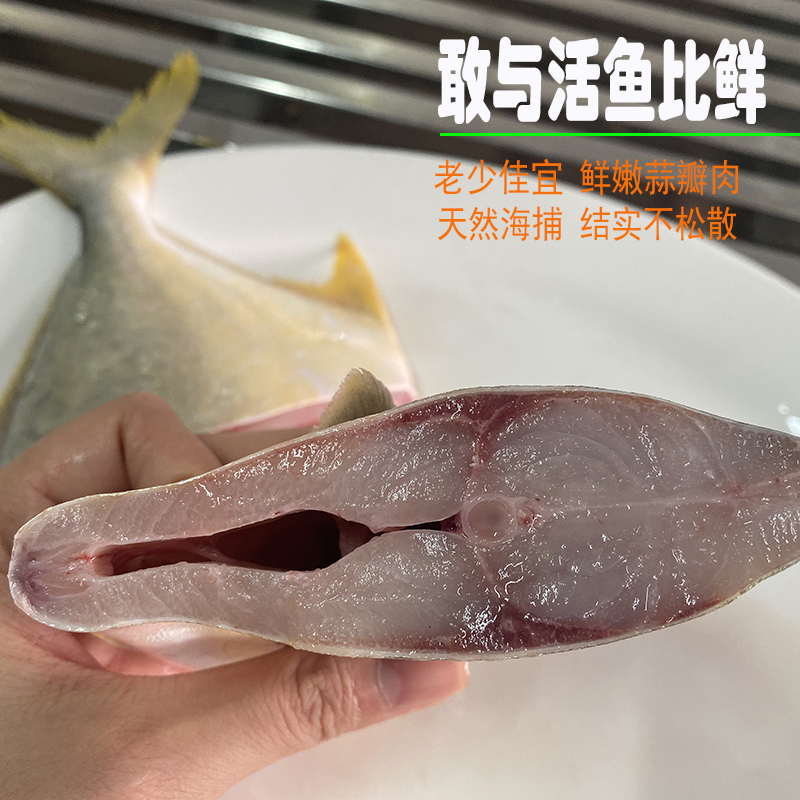 桂之海 桂(GUIZHIHAI)北海金鲳鱼新鲜冷冻深海鱼鲜活去鳃去内脏免处理特大号开腹金昌鱼 5条【400-500克/条】新鲜杀好