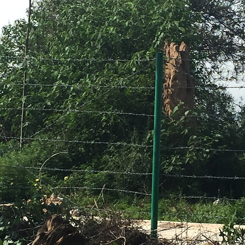 东海全面开渔 超4000艘渔船会集出海作业