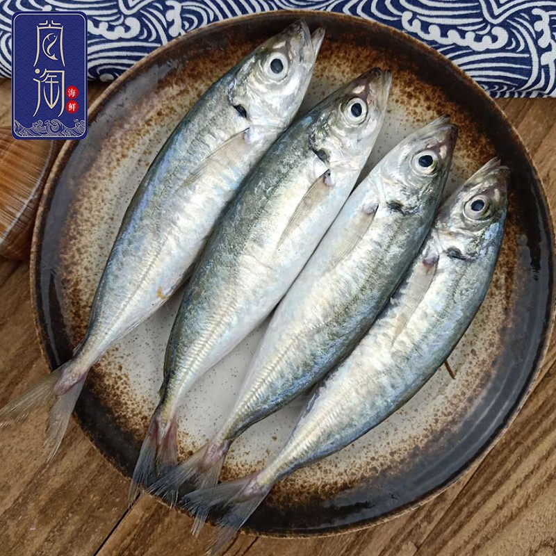 尚淘 东山岛新鲜巴浪鱼 竹荚鱼巴浪鱼1kg 海鲜水产 野生1kg(6-8条)