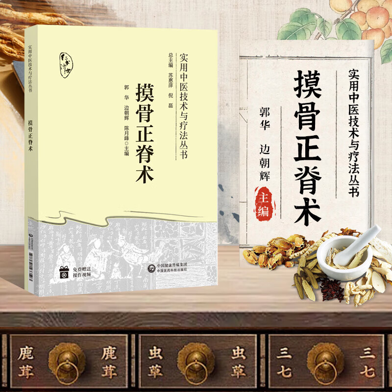 摸骨正脊术 实用中医技术与疗法丛书 中医正骨正脊技术指导书肌骨疾病诊断复位手法应用摸骨诊察手法正脊复位治疗脱臼跌打损伤脊