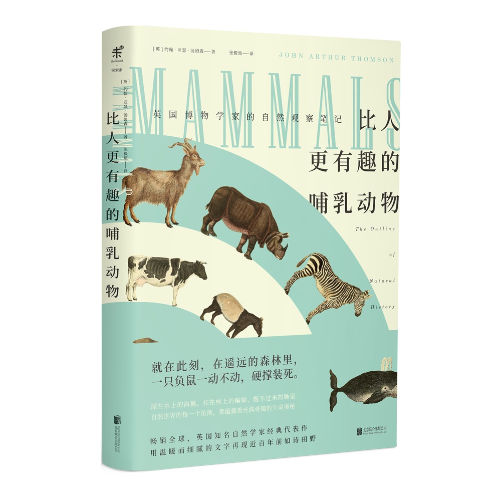 【无穷小亮推荐】比人更有趣的哺乳动物