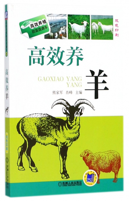 高效养羊(双色印刷)/高效养殖致富直通车