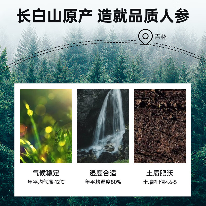 雷允上西洋参片花旗参泡水泡酒滋补营养品送长辈人参皂苷 【自用罐装】一级薄圆片 100g*1罐 (2-3cm)