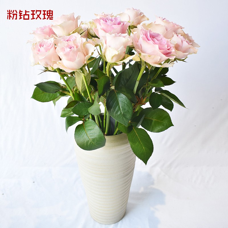 [悦多彩] 多款玫瑰鲜花速递 节日礼物情人节送礼 家居