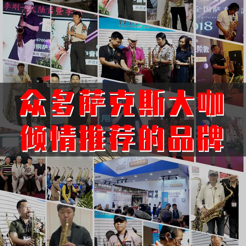 萨尔特萨克斯台湾萨尔特磷铜中音萨克斯乐器专业演奏级降e调SP-6700大咖推荐磷铜色主图2
