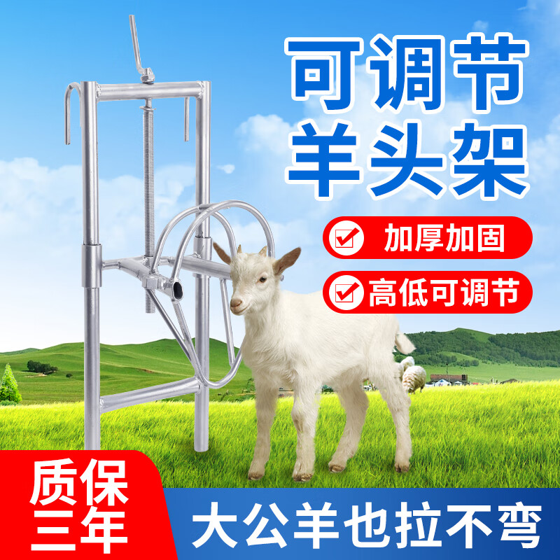奔新农(benxinnong)可升降羊头固定架剪羊毛架子羊用打针输液配种固定