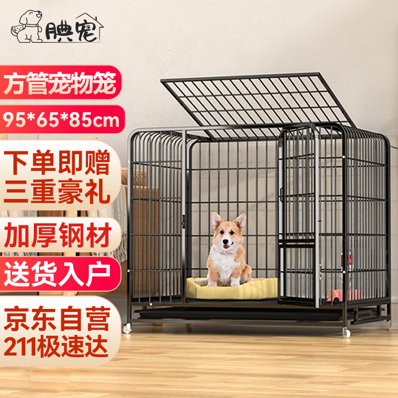 笼子围栏历史价格查询工具|笼子围栏价格走势