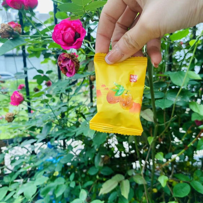 盘中玉五眼菩提果南酸果248g小包装紫苏味茶果黄山江西特产蜜饯干老牌子 五袋