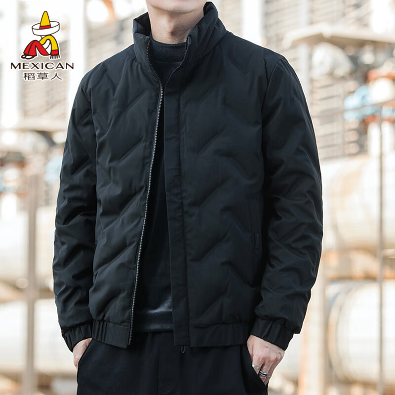 男士羽绒服商品的历史价格查询|男士羽绒服价格走势图