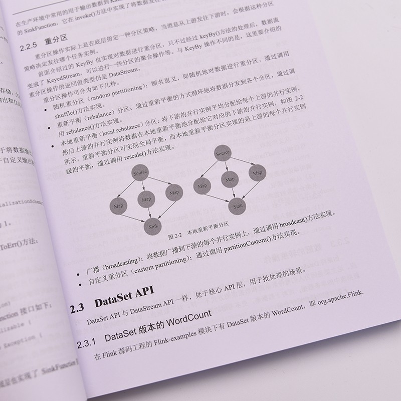 Flink核心技术：源码剖析与特性开发(异步图书出品)详情图