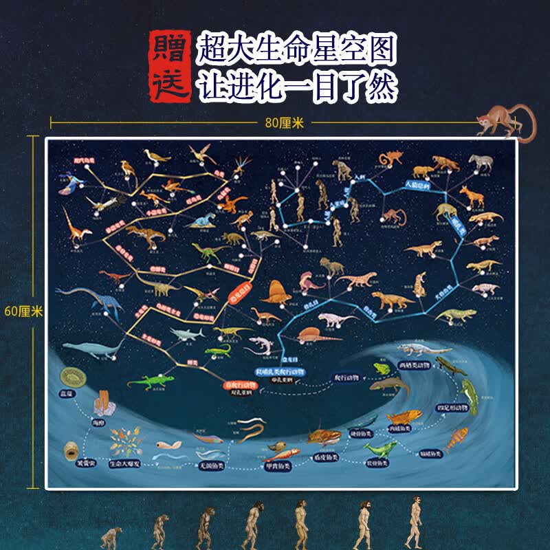 生命简史详情图