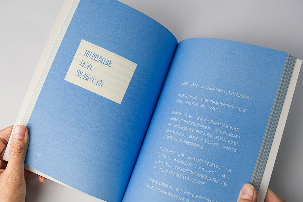 在变化的世界，稳稳地活：哲学中的锚定之力详情图