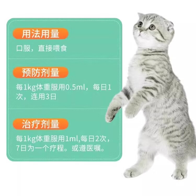 球肠乐宠物猫咪狗狗止泻驱虫球虫驱虫药巴迪球乐泰猫咪滴虫狗狗弓形虫果冻便血止泻 球肠乐5瓶 顺丰快递