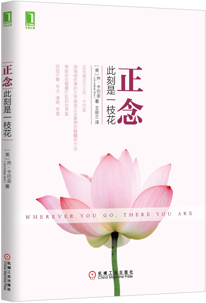 正念：此刻是一枝花 （美）乔·卡巴-金（Jon Kabat-Zinn）著,王 978711