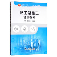 化工总控工培训教程