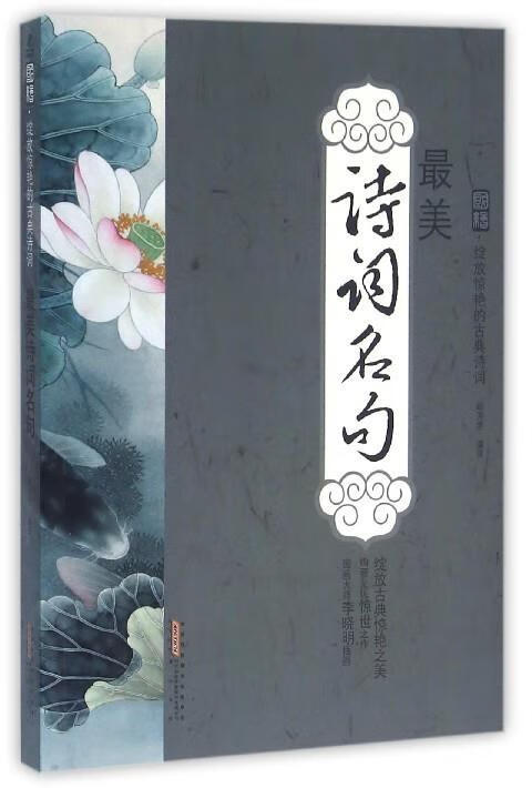 美诗词名句 赵芳芳【正版】
