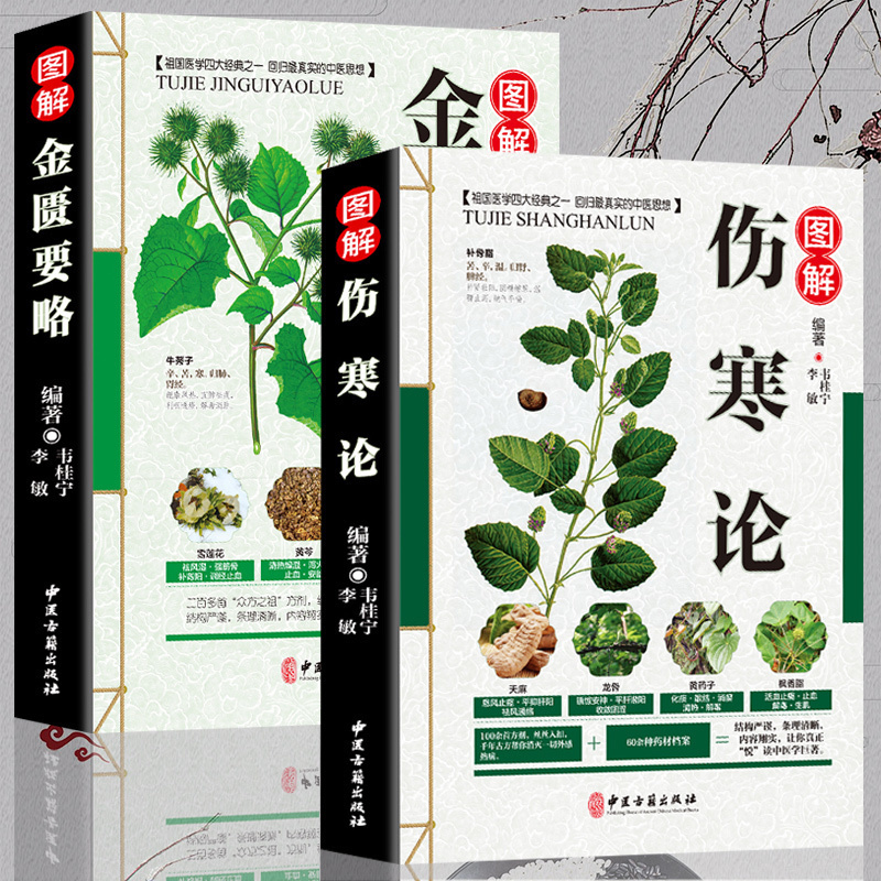 正版 伤寒论 张仲景正版+金匮要略 共两本中医临床丛书郝万山伤寒论杂病论中医四大经典名著自学入门古籍