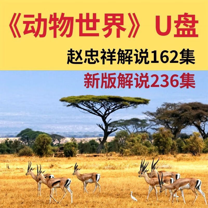 御舵动物世界纪录片赵忠祥海底世界手机车载看戏机u盘高清mp4视频优盘