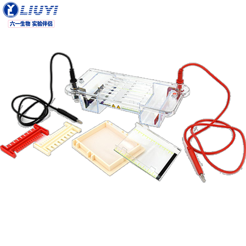 电泳槽dna蛋白质水平槽核酸制胶凝胶器科研院校化学物理分析电泳装置
