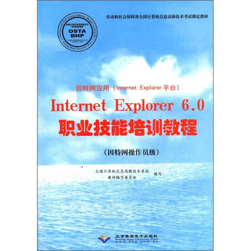 因特网应用(internet explorer平台)internet explorer60【正版好书