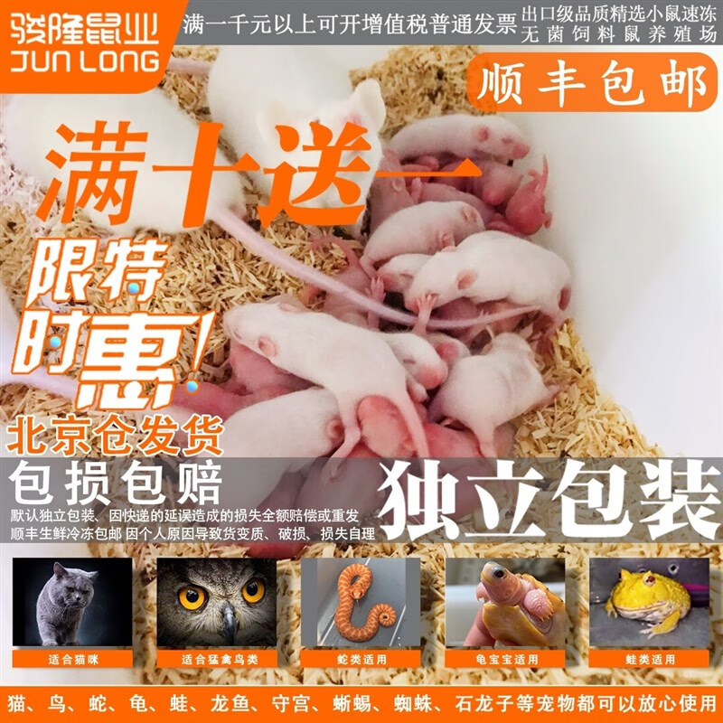 冰冻冷冻小白鼠 乳鼠白霜跳跳亚成成体裸鼠爬宠饲料鼠裸鼠 冰乳鼠1-2.