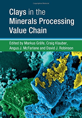 预订 clays in the minerals processing value chain