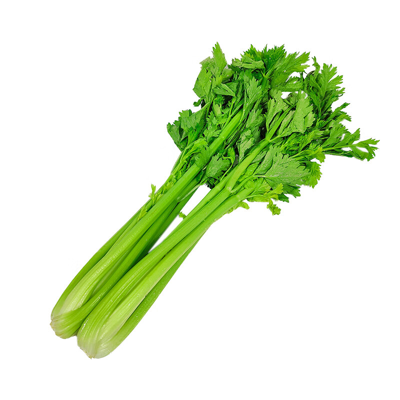 贵妃鲜云南高原有机西芹4.