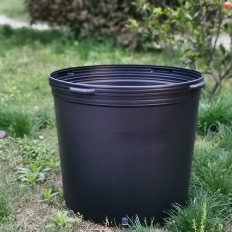 clcey花盆特大号50公分以上软塑料花盆果树葡萄藤本月季大型植物种植