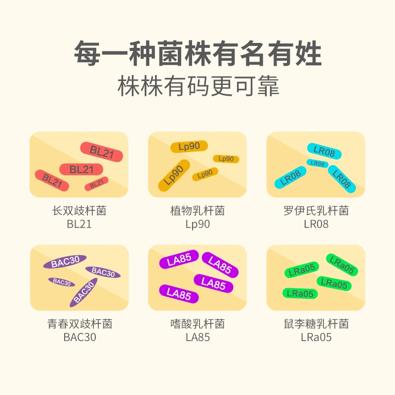 新葆【12盒囤货装】新葆复合益生菌粉 成人儿童冻干粉 肠胃益生菌 10条*12盒