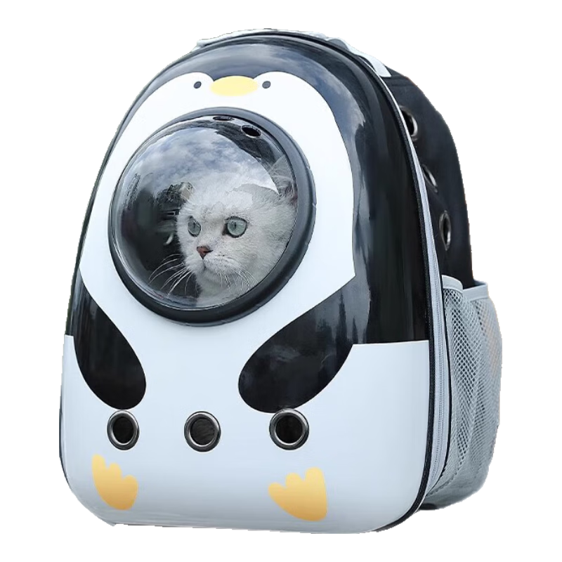 �����ڴ��մ�è��̫�ղ������Я����˫�米�����ش����������������� �ɰ���졾�в࿪�š� ������18����è�䡿