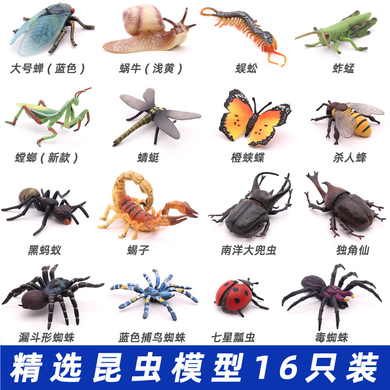 好沐音(haomuyin)昆虫类玩具模型蜘蛛蜜蜂蚂蚁蝴蝶蝎蝎螳螂虫动物儿童