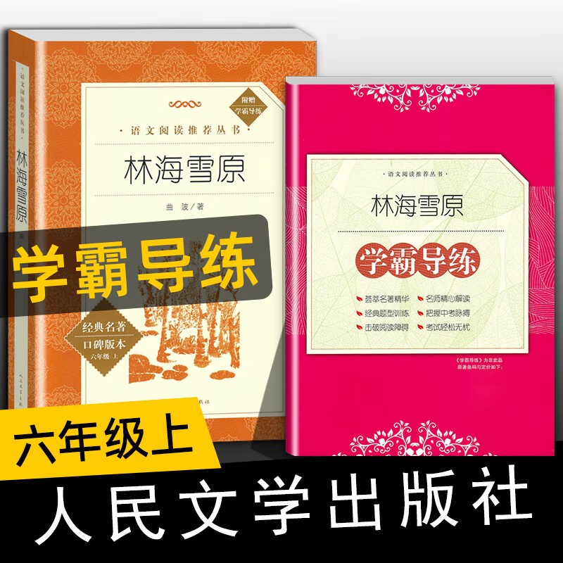 学霸导练 林海雪原 曲波著新版人民文学出版社6年级/六年级课外阅读